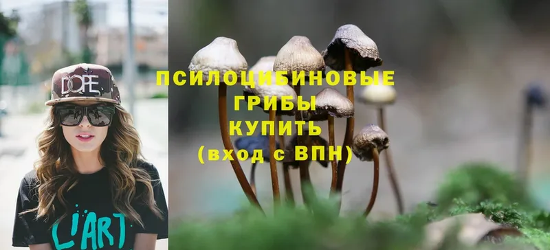 blacksprut ссылка  как найти закладки  Ветлуга  Галлюциногенные грибы Psilocybine cubensis 