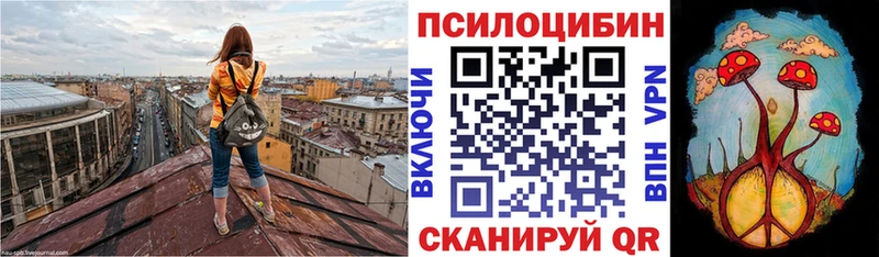 Галлюциногенные грибы MAGIC MUSHROOMS  блэк спрут как зайти  Ветлуга 